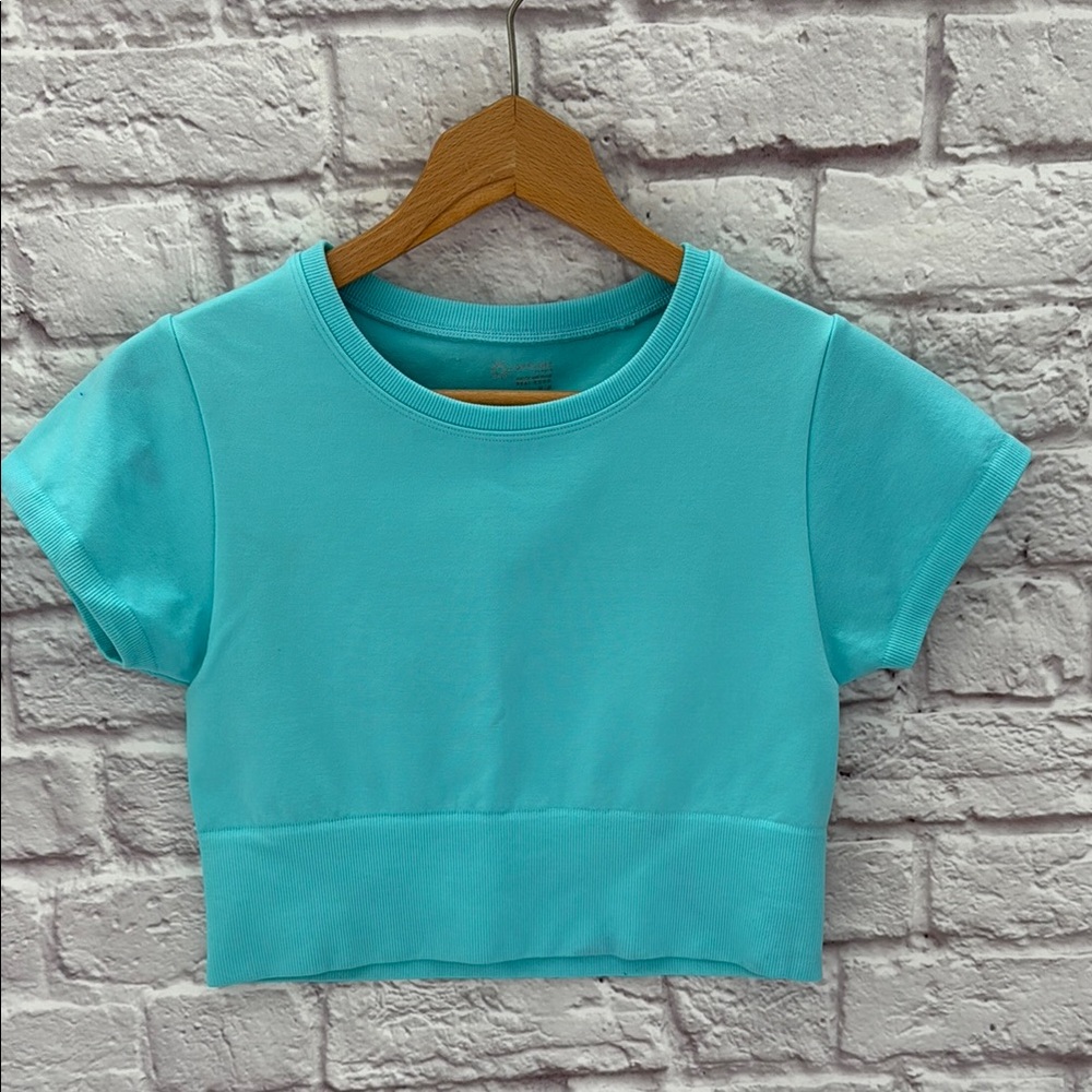 Offline by Aerie teal blue crop top